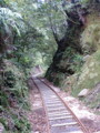 [屋久島]