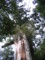 20090418092747