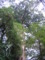 20090418095957
