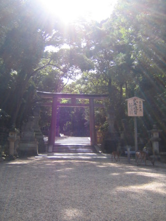 f:id:gustav5:20090716083606j:image