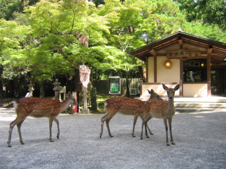 f:id:gustav5:20090716084843j:image