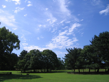 f:id:gustav5:20090716085243j:image