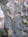 20090822111632