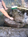 20090822111708