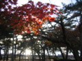 須磨浦公園