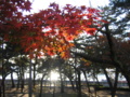 須磨浦公園
