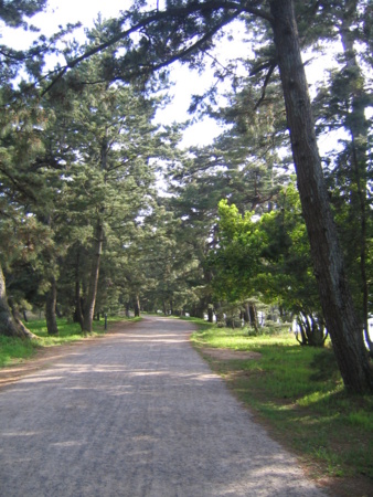 京都府宮津市天橋立