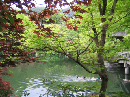 永観堂