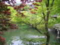 [京都]永観堂