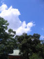 大宮氷川神社