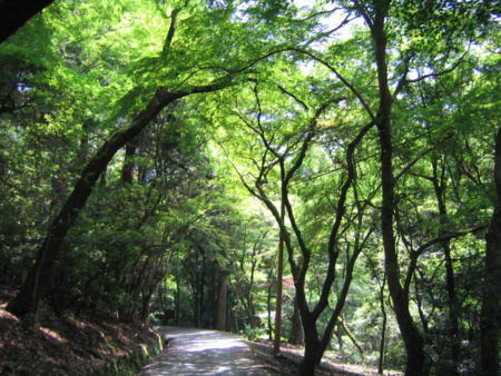 f:id:gustav5:20100817111336j:image