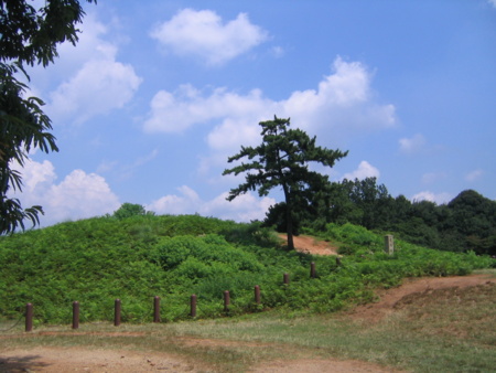 f:id:gustav5:20100817120717j:image