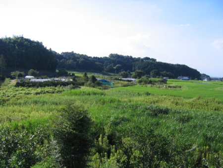 f:id:gustav5:20100817162928j:image