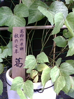 f:id:gustav5:20100818120030j:image