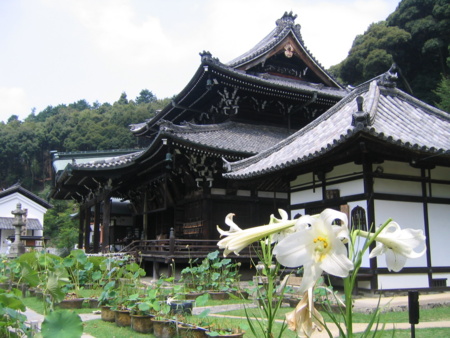 f:id:gustav5:20100819110740j:image