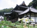 [京都]三室戸寺