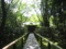 大徳寺高桐院