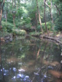 有栖川宮公園