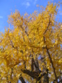 20101123135828