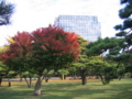[千代田区]皇居外苑
