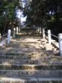 20101209094618