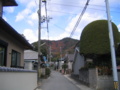 20101209113219