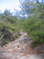 20101209115027