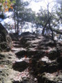20101209115807