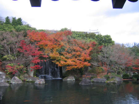20101209142854