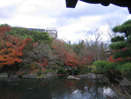 20101209142910