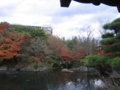 20101209142910