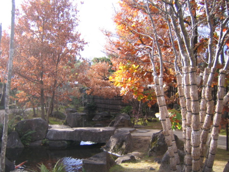20101209143629