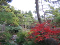 20101209144734
