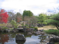 20101209144941