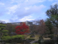 20101209145221