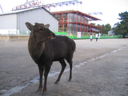 f:id:gustav5:20101210110537j:image