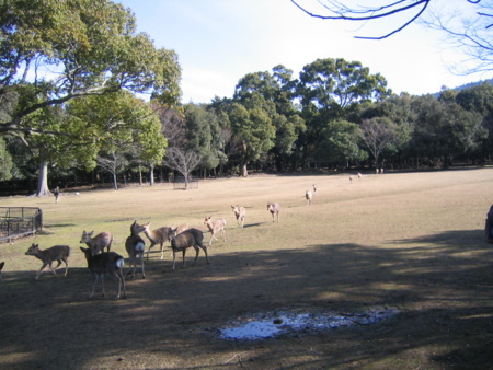 f:id:gustav5:20110219100544j:image