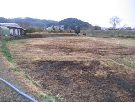 f:id:gustav5:20110220084715j:image