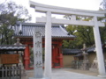 20110220145850