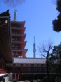 [台東区]浅草寺