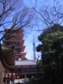 [台東区]浅草寺
