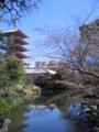 [台東区]浅草寺伝法院