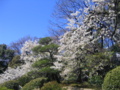[台東区]浅草寺伝法院
