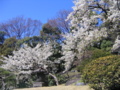 [台東区]浅草寺伝法院