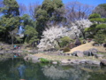 [台東区]浅草寺伝法院