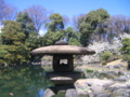 [台東区]浅草寺伝法院