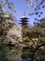 [台東区]浅草寺伝法院