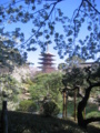 [台東区]浅草寺伝法院