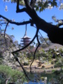 [台東区]浅草寺伝法院