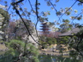 [台東区]浅草寺伝法院